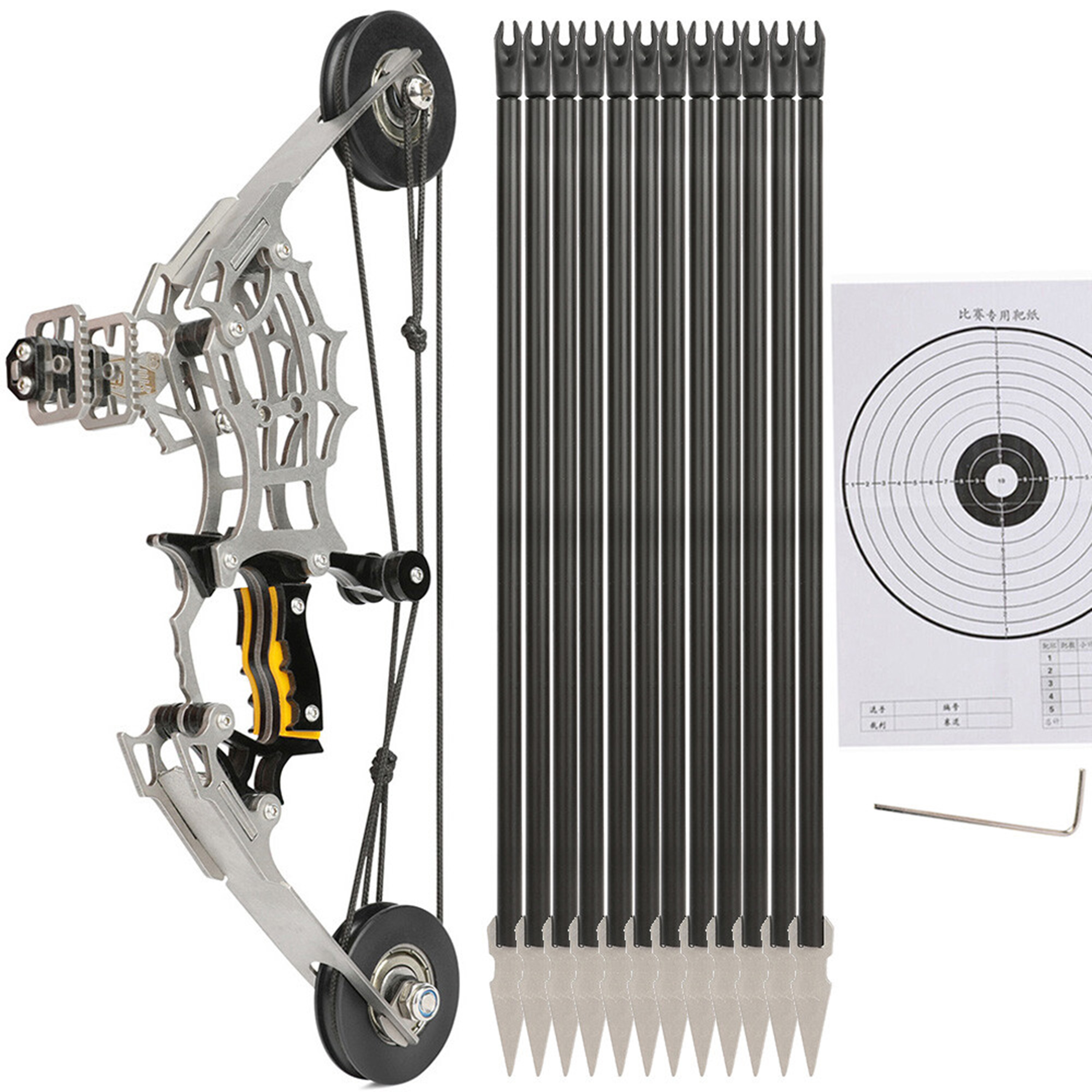 Mini Compound Bow with Arrows Shooting Target