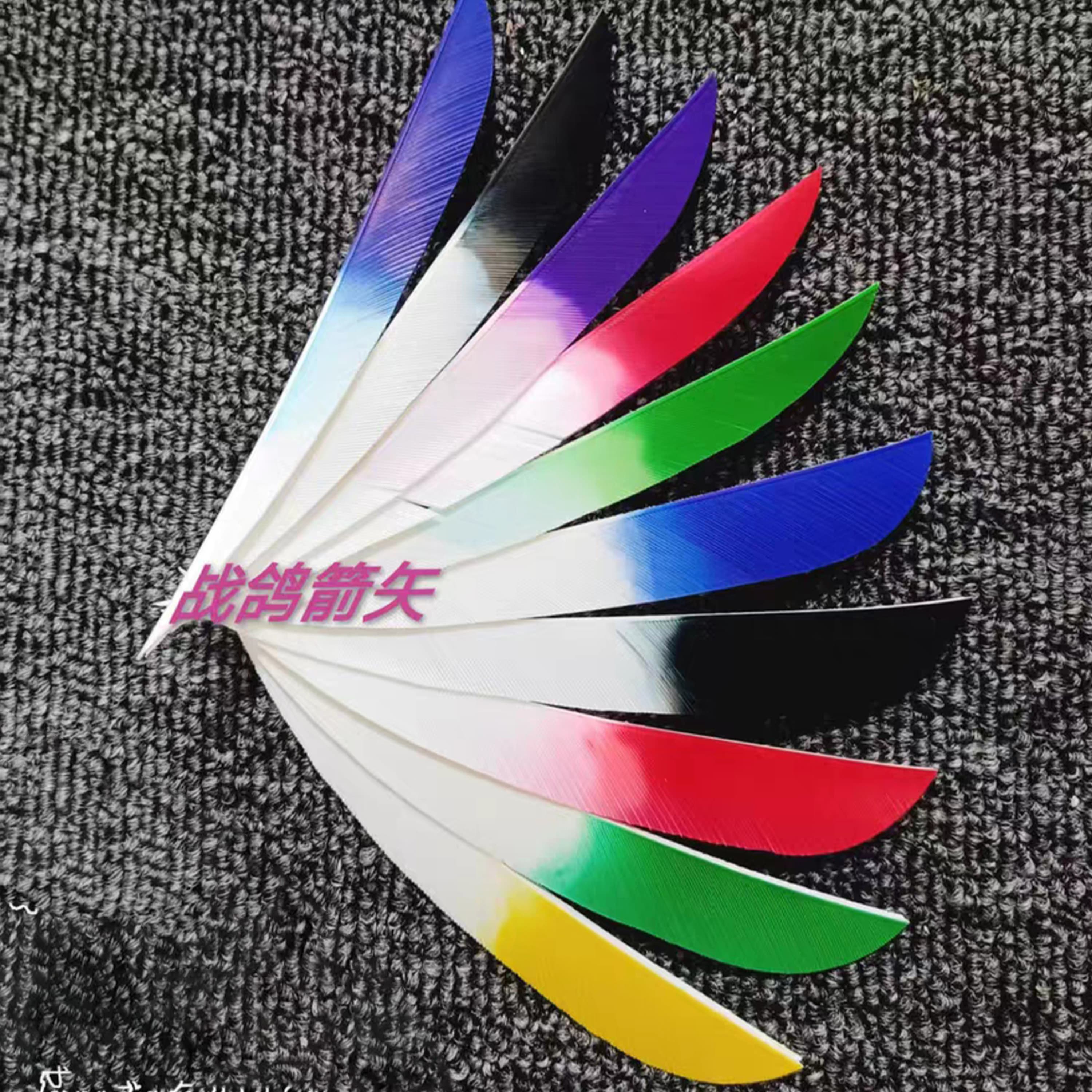 Zhan Ge Carbon Arrow Turkey feather Hunting Arrow Spine500-800
