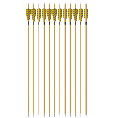 Pure Carbon Arrows – Traditional Archery Hunting Season