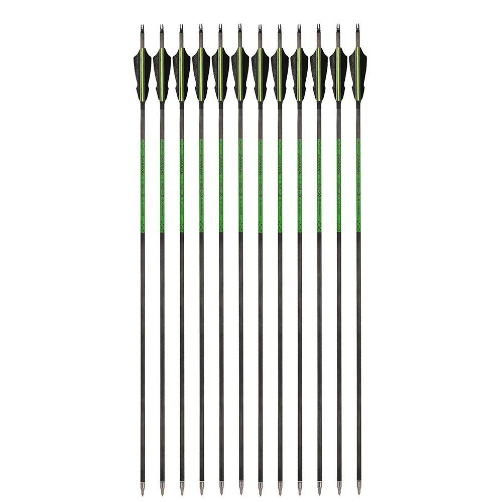 12 Flèches En Carbone Pur 32'' SP300-800 – Plume Dinde 5", Pointe 100 Grains, Pour Arc à Poulie Ou Recourbé, Chasse