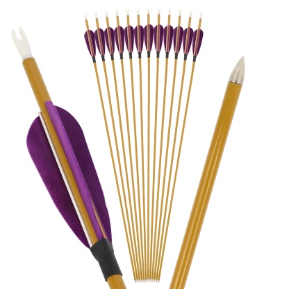 AMEYXGS Archery Spine 900 Carbon Arrow Turkey Feathers