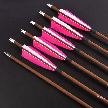 🎯100% Pure Carbon Arrow for Archery Hunting-AMEYXGS Archery