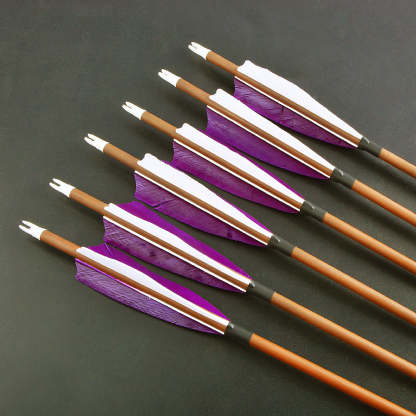 🎯100% Pure Carbon Arrow for Archery Hunting-AMEYXGS Archery