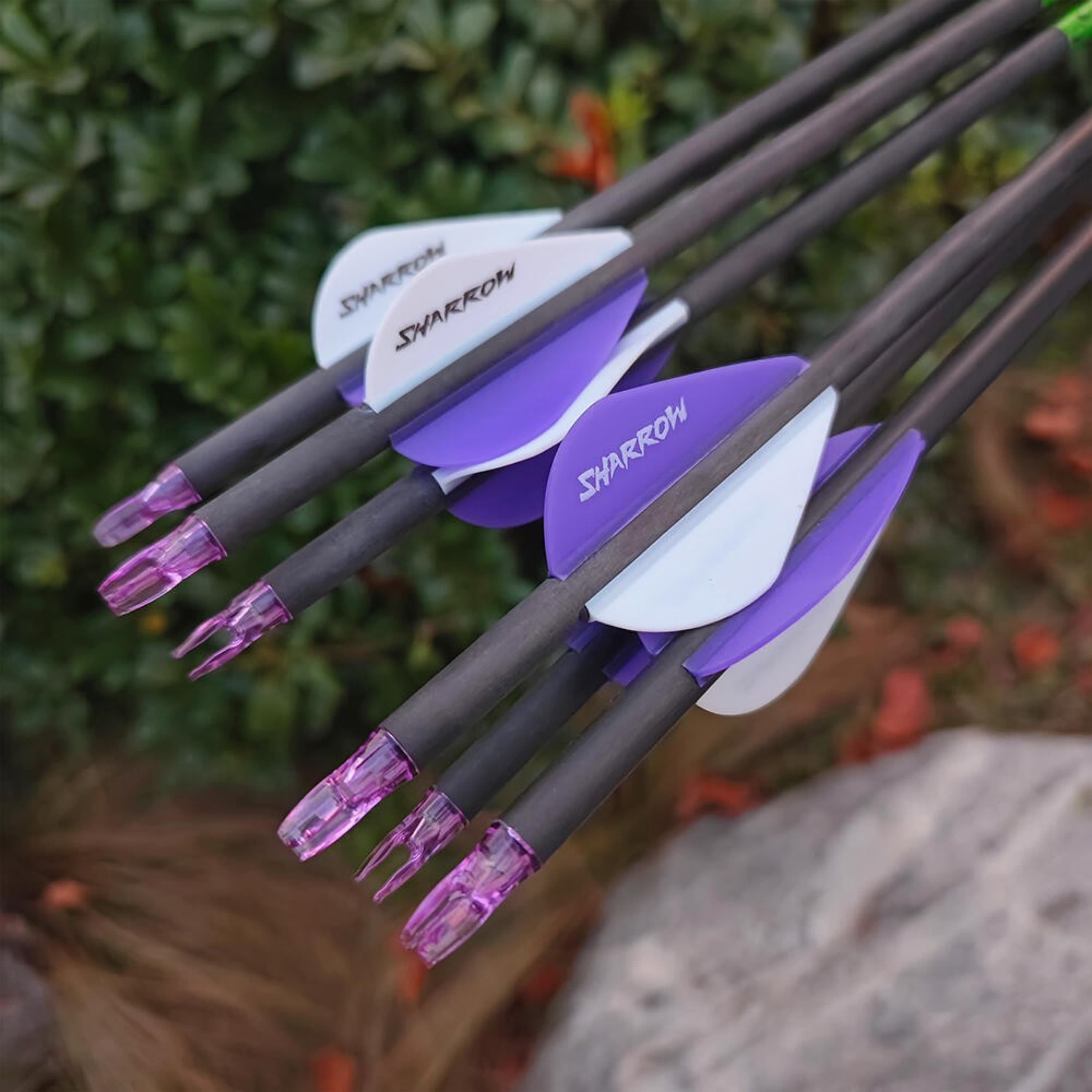 30" Carbon Archery Arrows SP300-800 with Screw-In Field Tips