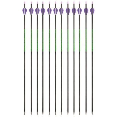 30" Carbon Archery Arrows SP300-800 with Screw-In Field Tips