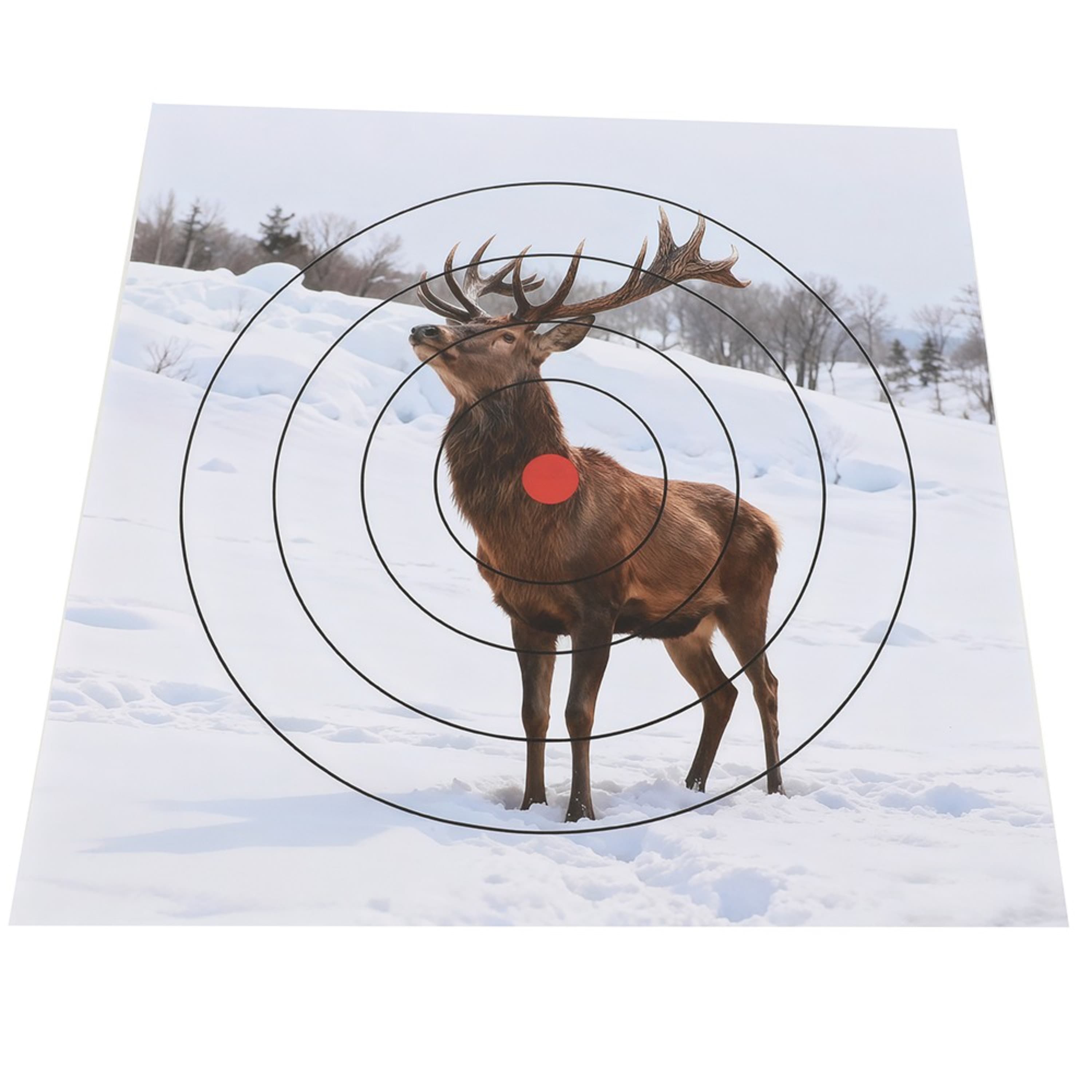 Archery Shooting Target Paper Durable Animal Field Face 40x40cm