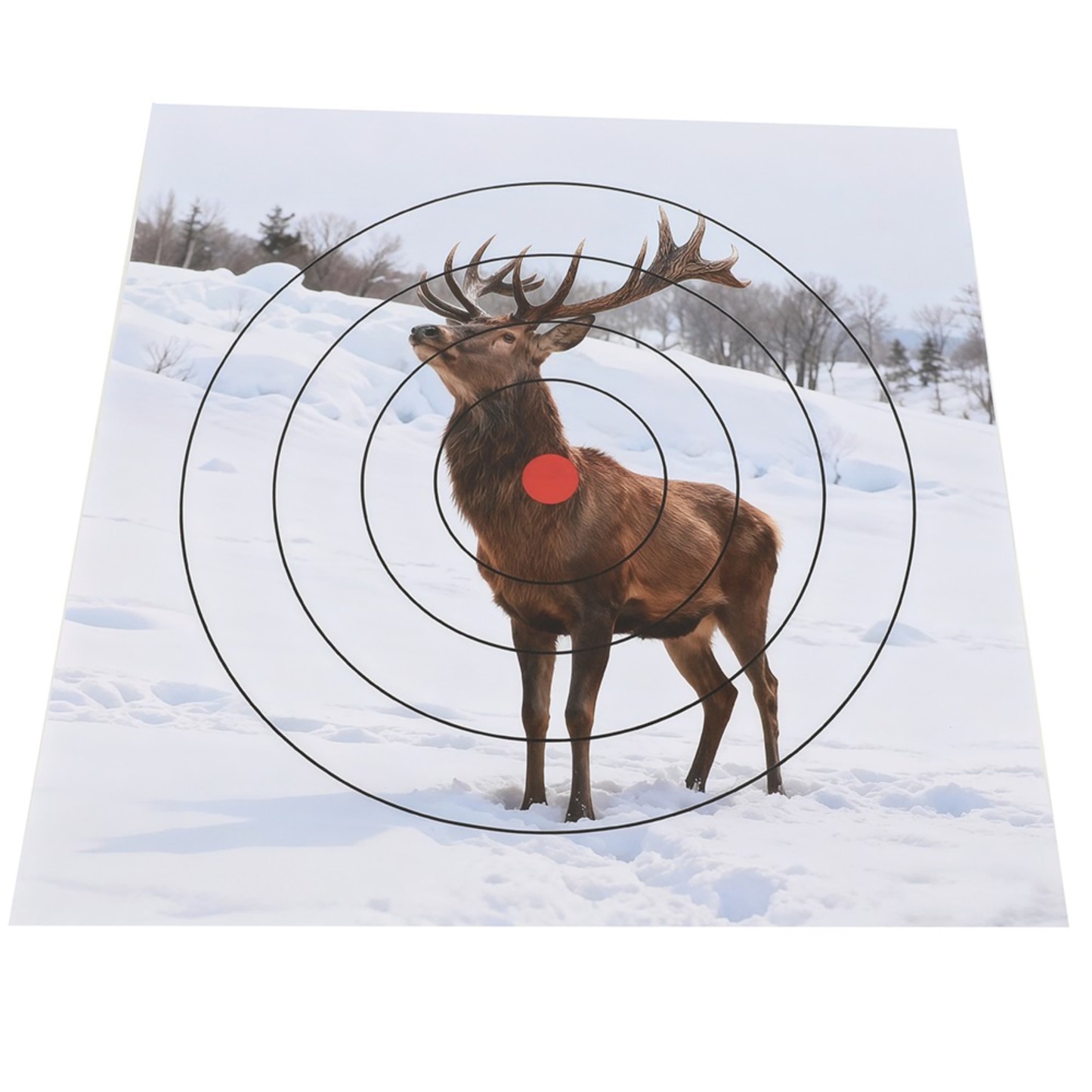 Archery Shooting Target Paper Durable Animal Field Face 40x40cm