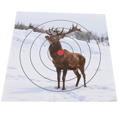 Archery Shooting Target Paper Durable Animal Field Face 40x40cm