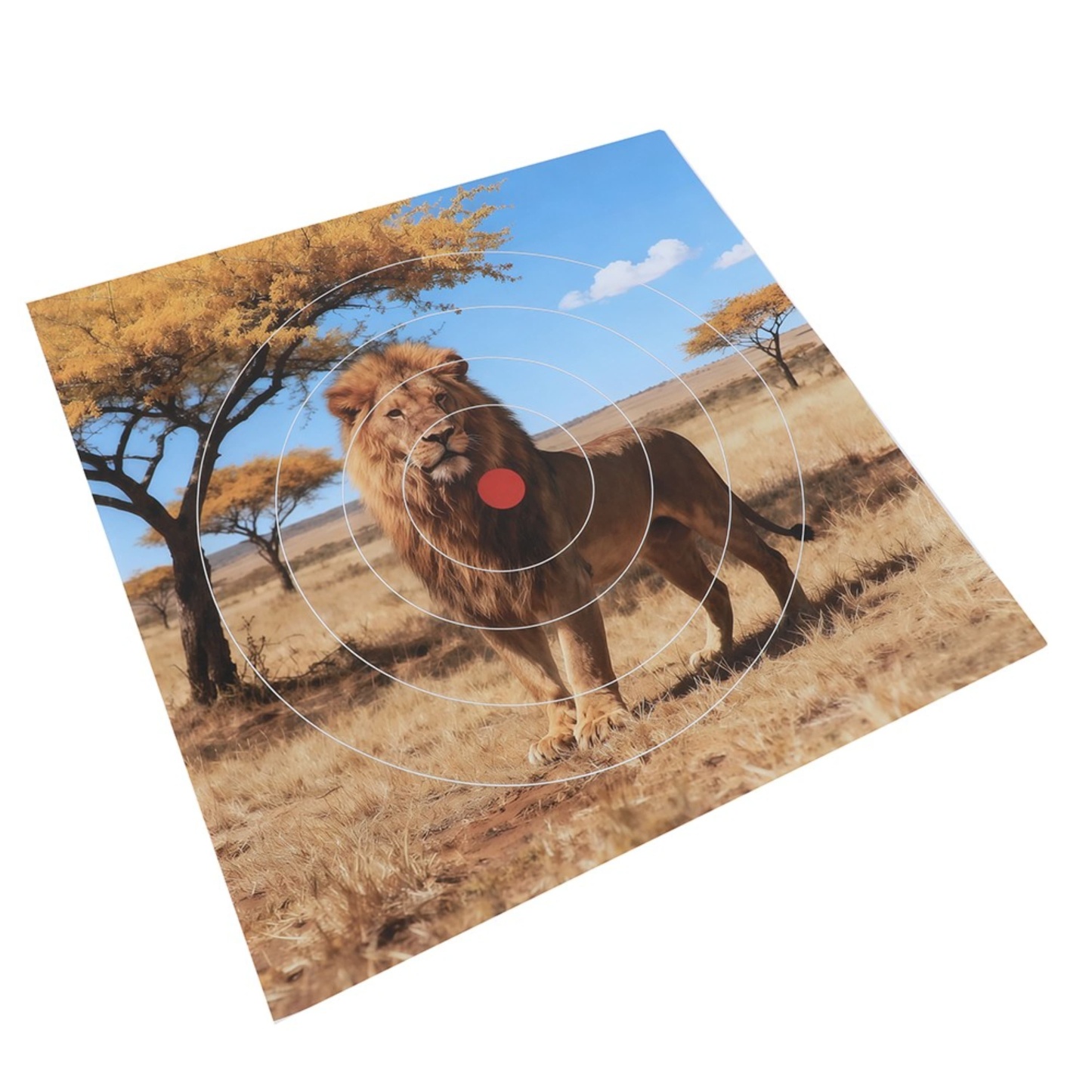 Archery Shooting Target Paper Durable Animal Field Face 40x40cm