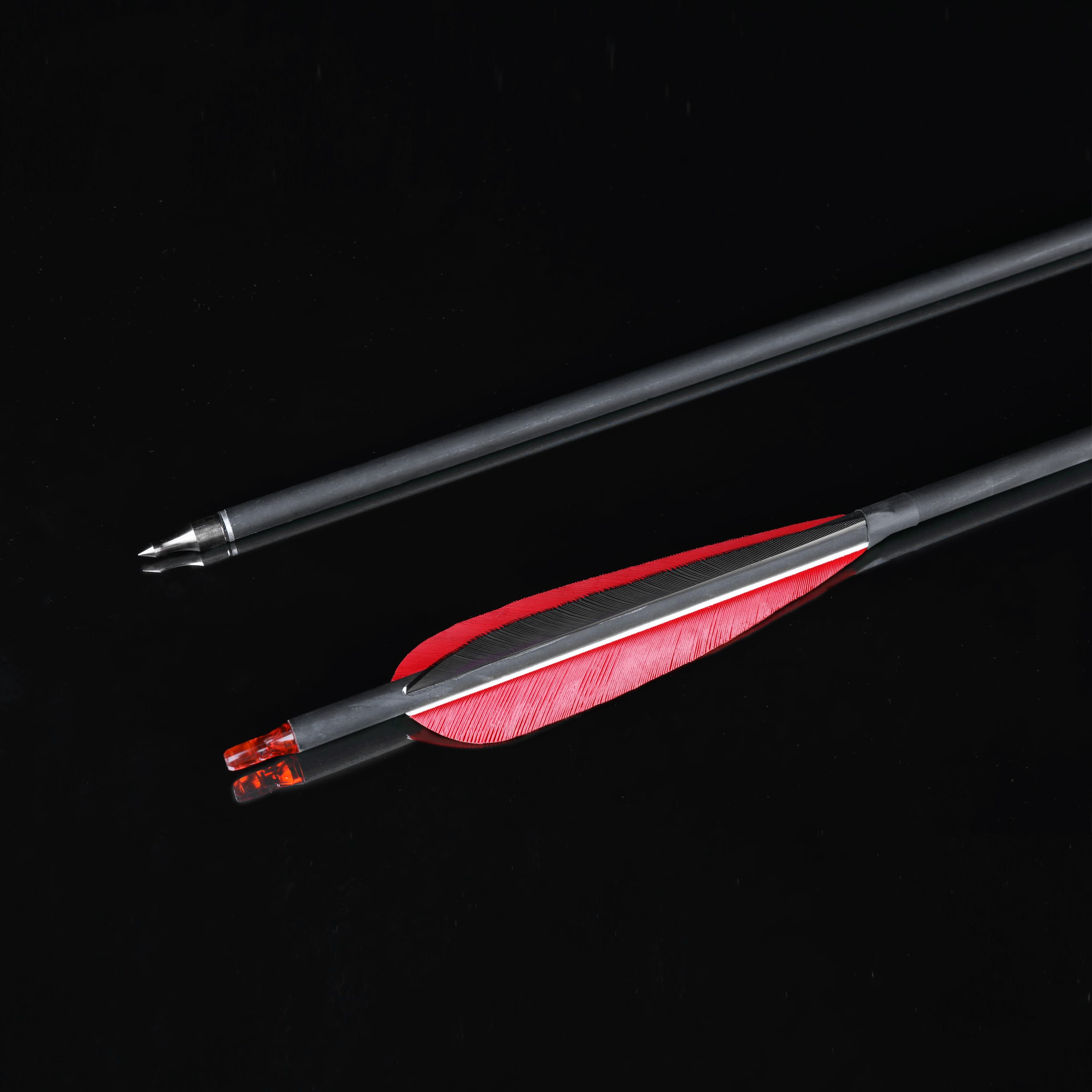 12x Carbon Arrow Spine 500 Turkey Feather Archery Shooting Target