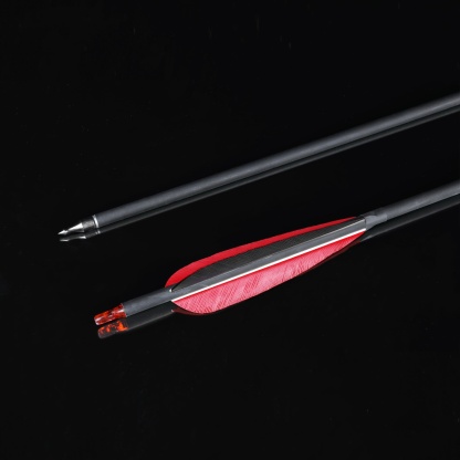 12x Carbon Arrow Spine 500 Turkey Feather Archery Shooting Target