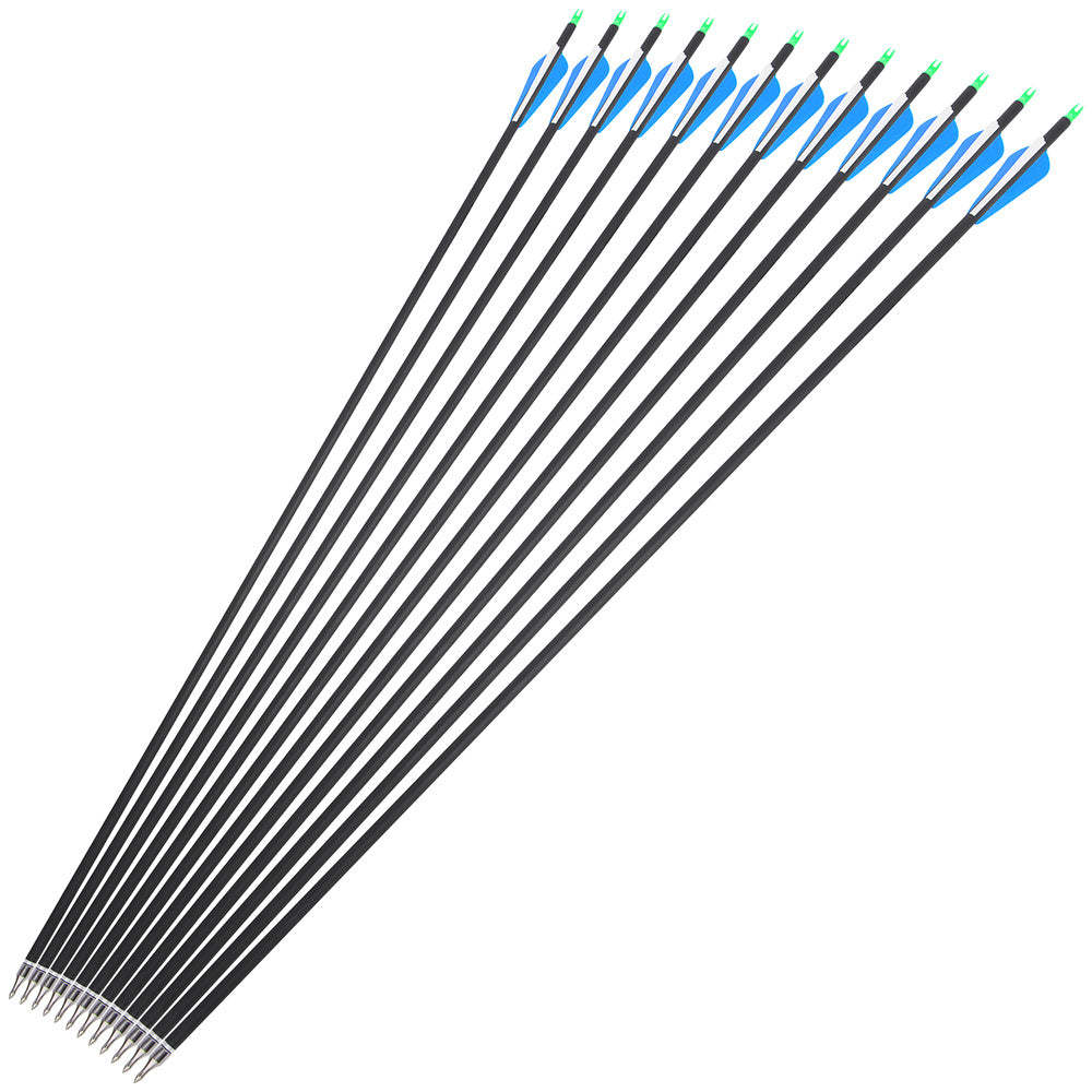 🎯12pcs Carbon Arrows Spine 500 Archery Bow Hunting-AMEYXGS Archery