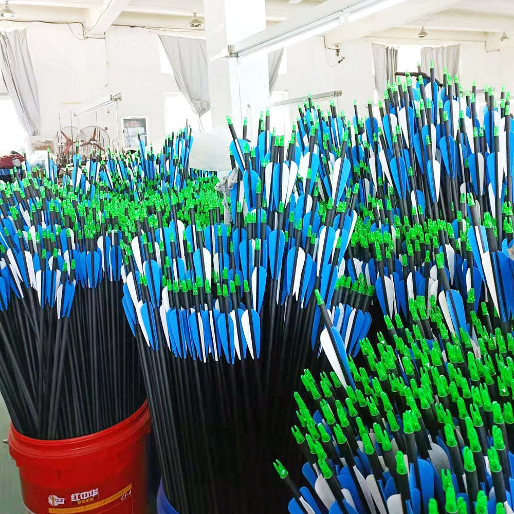 🎯12pcs Carbon Arrows Spine 500 Archery Bow Hunting-AMEYXGS Archery