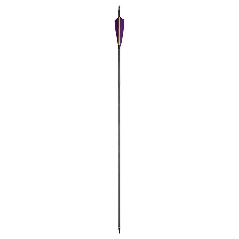 🎯12pcs Pure Carbon Arrows Archery Spine 350 Hunting Target-AMEYXGS Archery