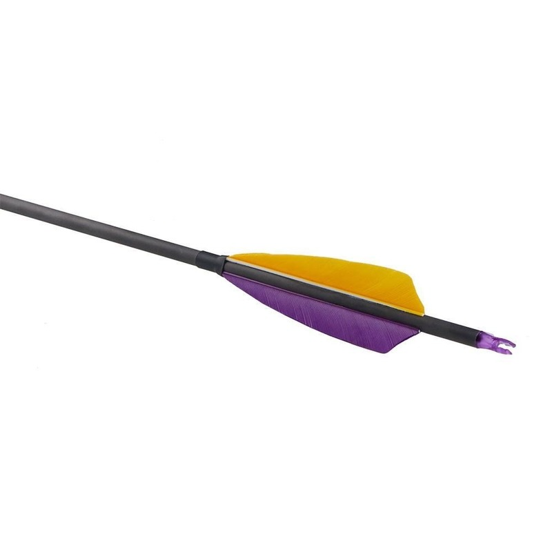 🎯12pcs Pure Carbon Arrows Archery Spine 350 Hunting Target-AMEYXGS Archery