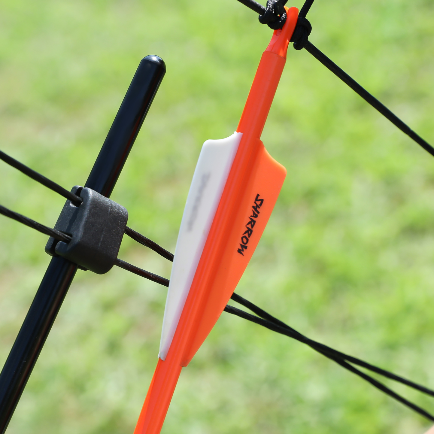 Blood Arrows Archery Field Outdoor Hunting ( Purple )