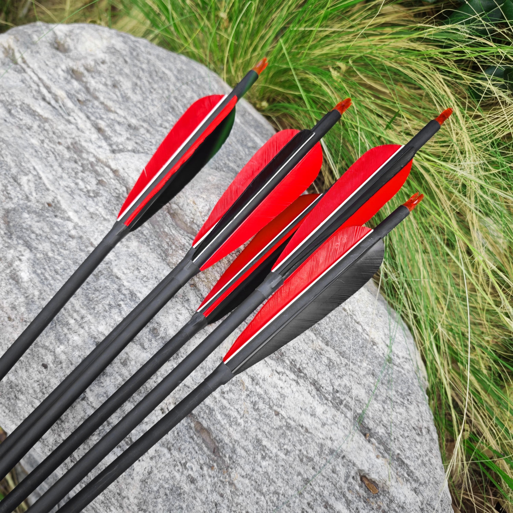 12x Carbon Arrow Spine 500 Turkey Feather Archery Shooting Target