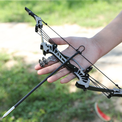 16 Mini Compound Bow Set 16lbs – Adult Target Shooting Practice Kit