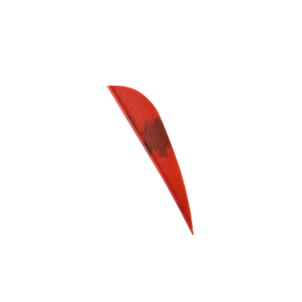 🎯2'' Archery Feather Arrow Turkey Fletching Practice Target Arrows-AMEYXGS Archery