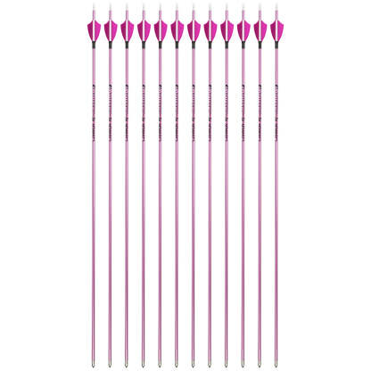 🎯Professional 4.2mm Pure Carbon Arrow Spine 400-1000 for Target  Recurve Compound Bow-AMEYXGS Archery