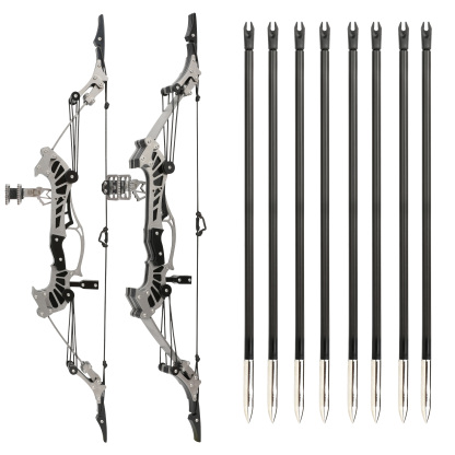 Mini Compound Bow with Arrows Shooting Target
