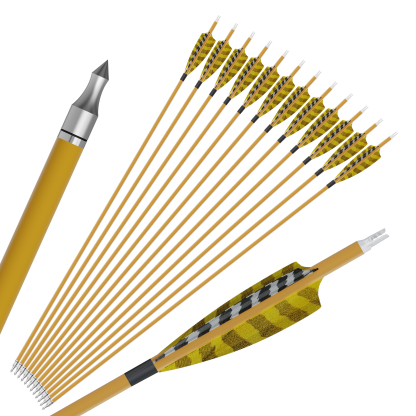 Pure Carbon Arrows – Traditional Archery Hunting Season