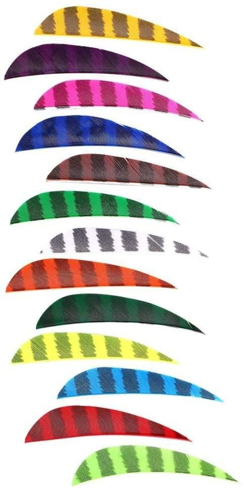 🎯2'' Archery Feather Arrow Turkey Fletching Practice Target Arrows-AMEYXGS Archery