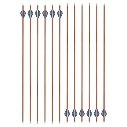 30-Inch Carbon Mix Arrows with 2" AME Teardrop Vanes (12pcs)