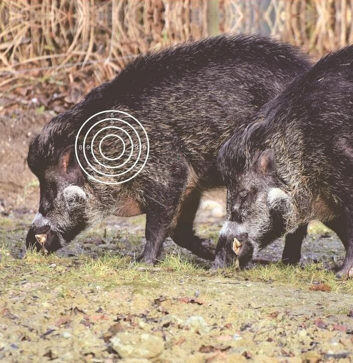 Archery Shooting Target Paper Durable Animal Field Face 40x40cm