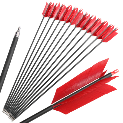 Archery Carbon Arrows Flu Flu Feathers Target Tradition