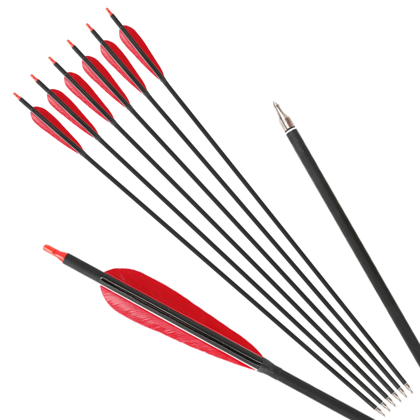 12x Carbon Arrow Spine 500 Turkey Feather Archery Shooting Target