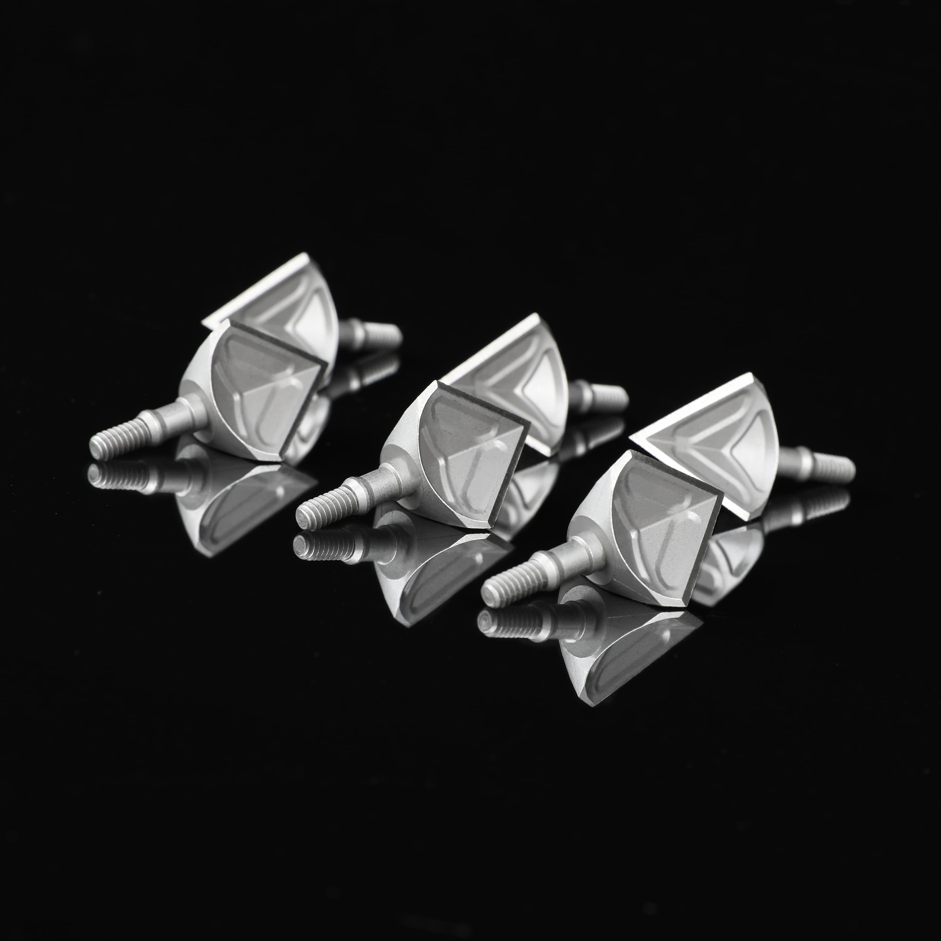  100Gr Stainless Steel Screw-in Broadhead Arrowhead Tip Bow Tatget 