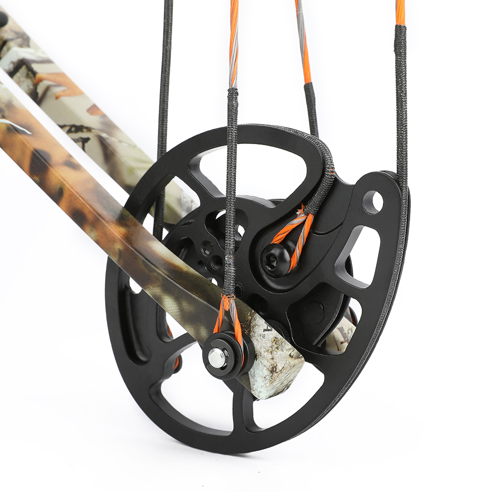  0-70lbs Compound Bow Adjustable Archery Target