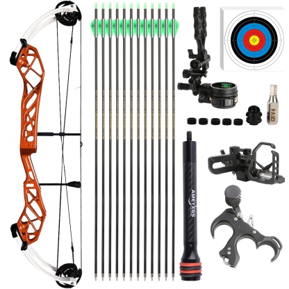 50-60lbs Compound Bow Hunting Kit Shooting Archery 