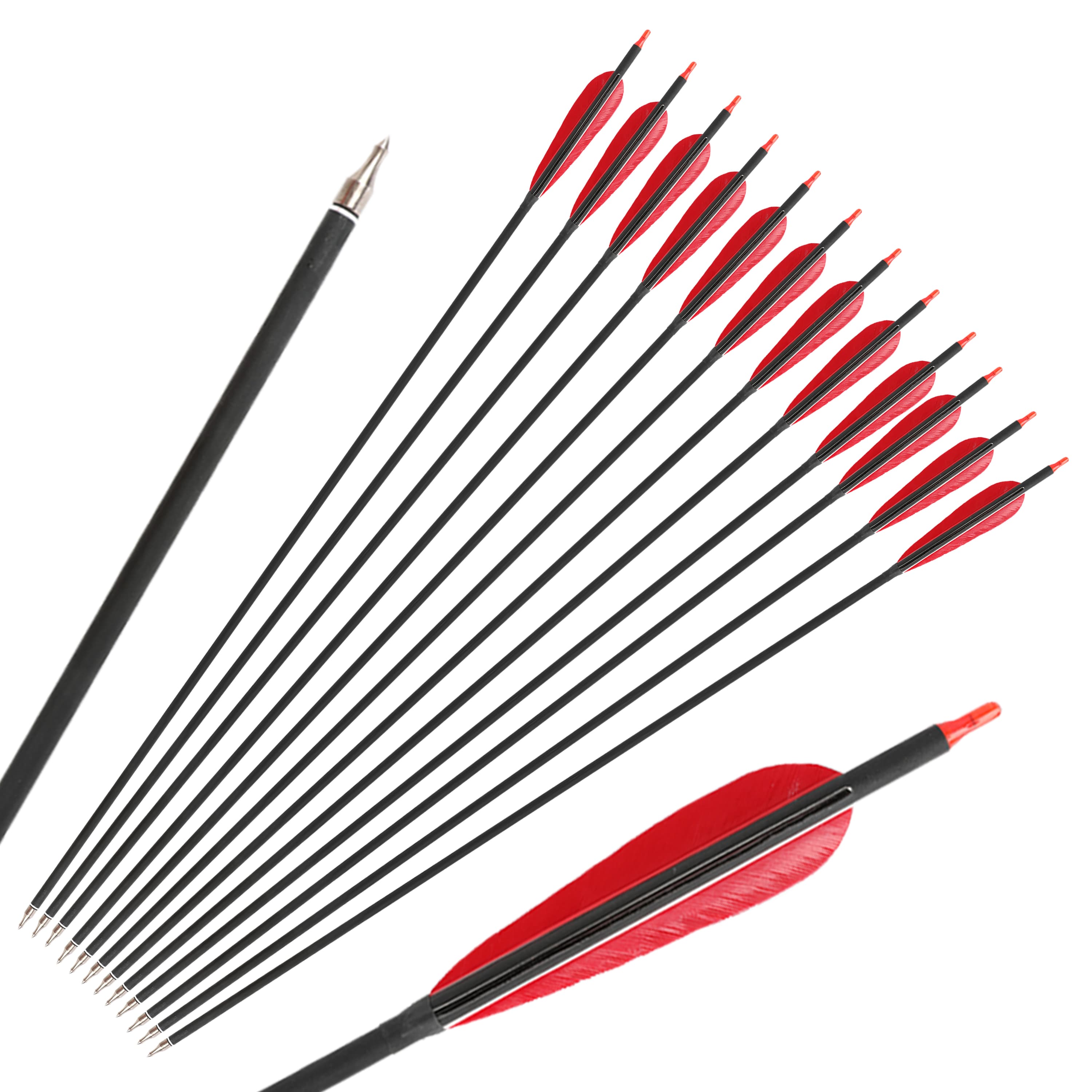 12x Carbon Arrow Spine 500 Turkey Feather Archery Shooting Target