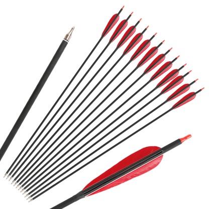 12x Carbon Arrow Spine 500 Turkey Feather Archery Shooting Target