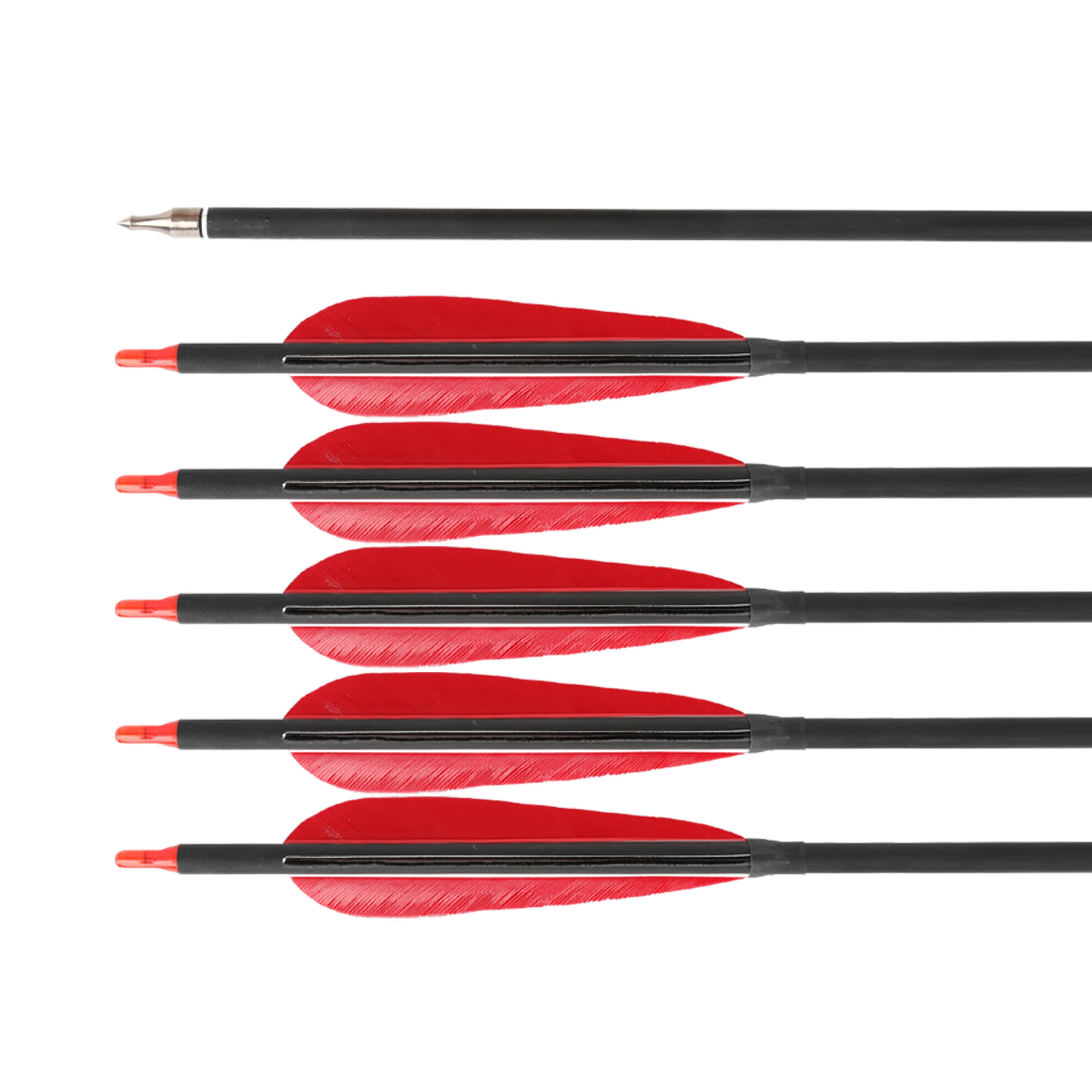 12x Carbon Arrow Spine 500 Turkey Feather Archery Shooting Target