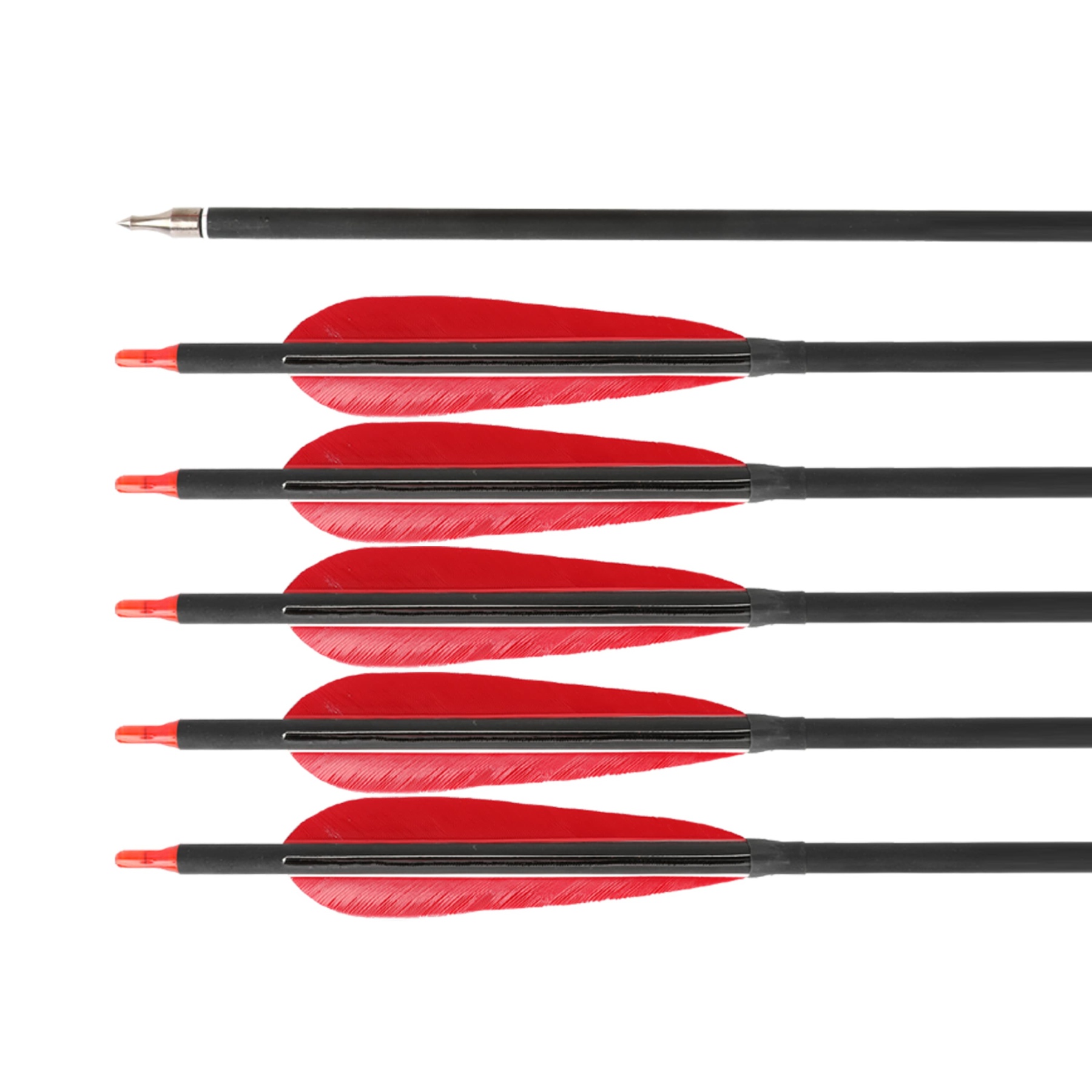 12x Carbon Arrow Spine 500 Turkey Feather Archery Shooting Target