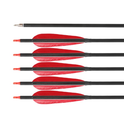 12x Carbon Arrow Spine 500 Turkey Feather Archery Shooting Target