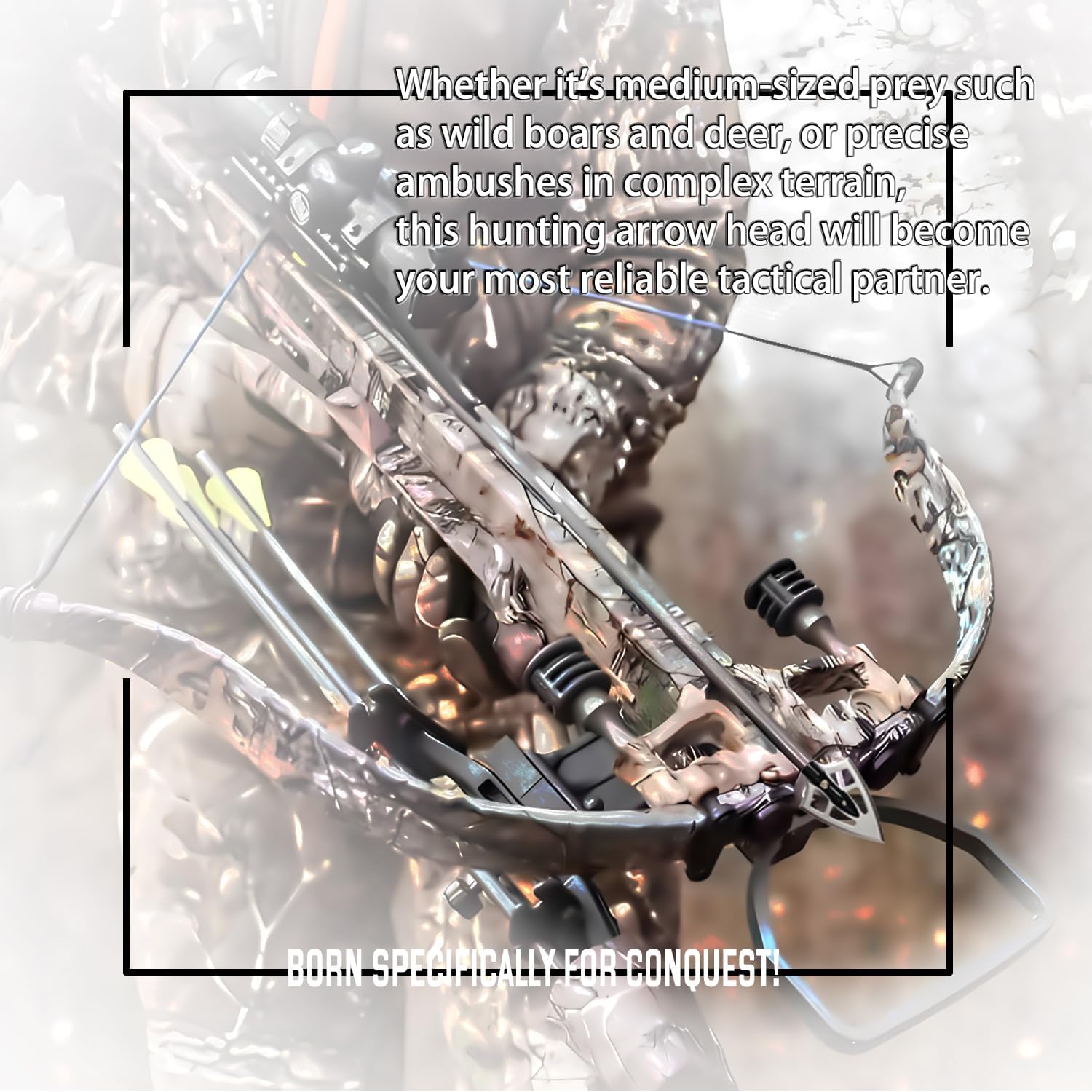 Screw-in Broadheads with Case Archery Broad for Compound Bow Crossbow