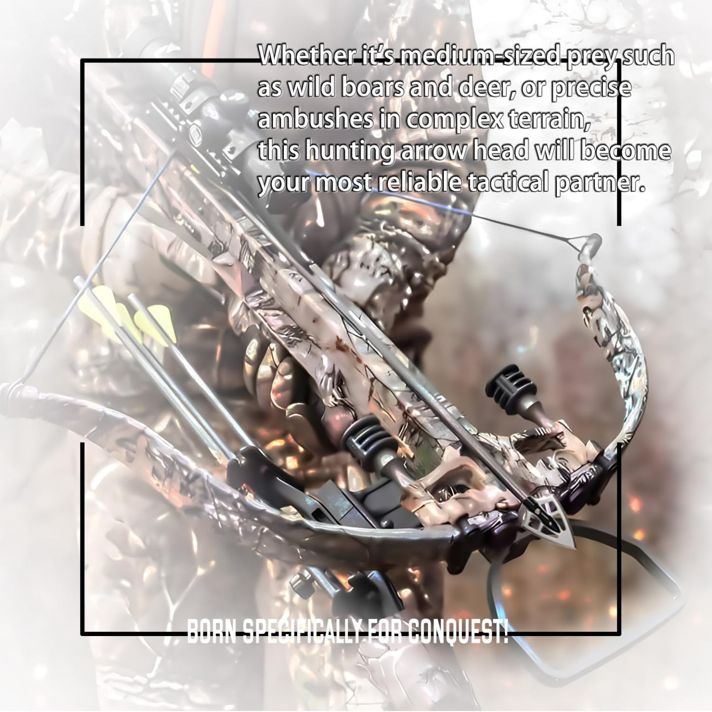 Screw-in Broadheads with Case Archery Broad for Compound Bow Crossbow