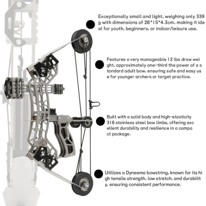 10" Mini Compound Bow Arrows Kit Archery Target Shooting Game 12lbs