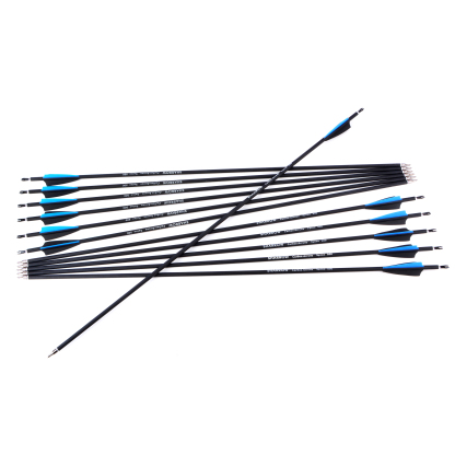 30" Archery Carbon Arrow  for Beginners Archers(12pcs/Box)
