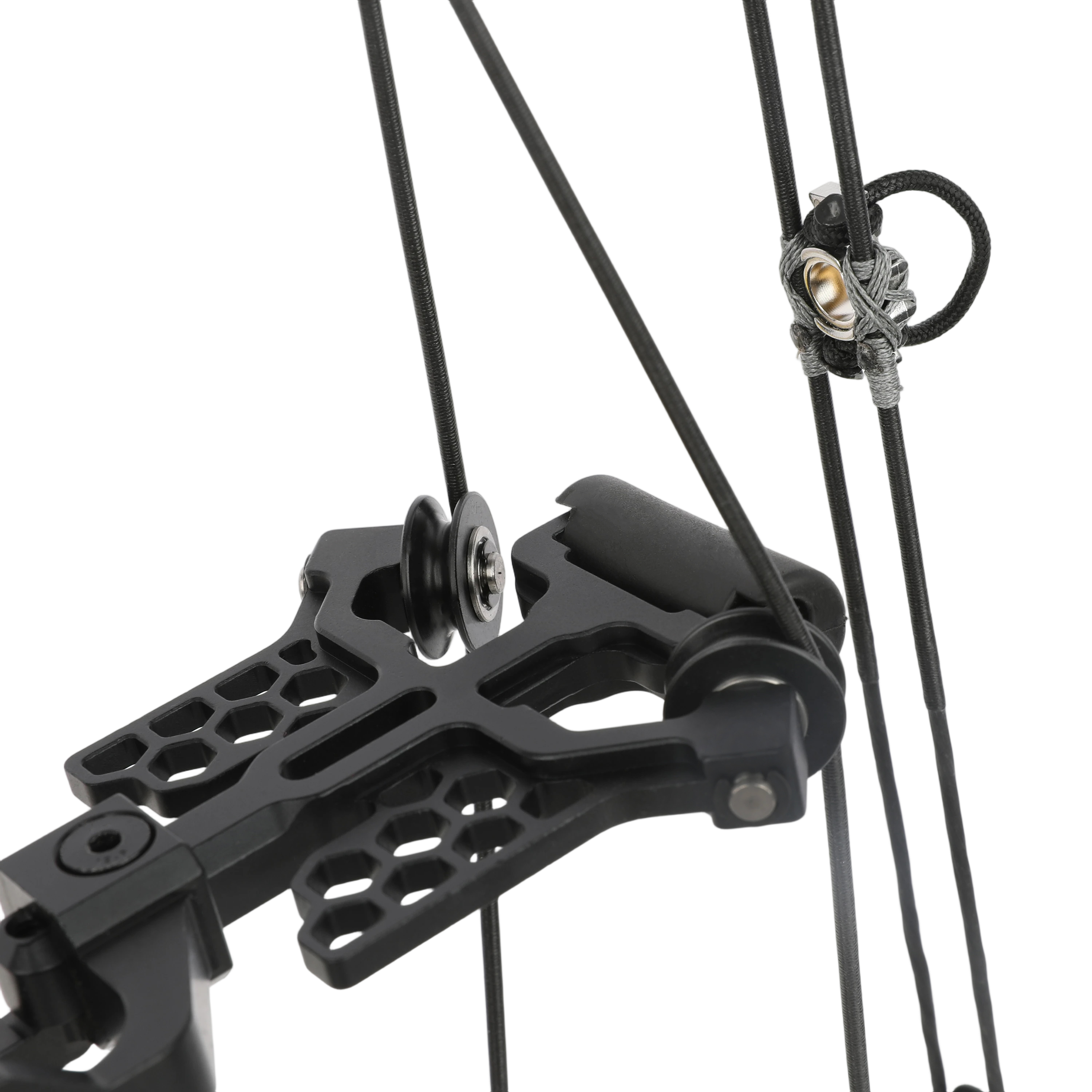 ALIEN Compound Bow Short Axis Archery 50-75lbs