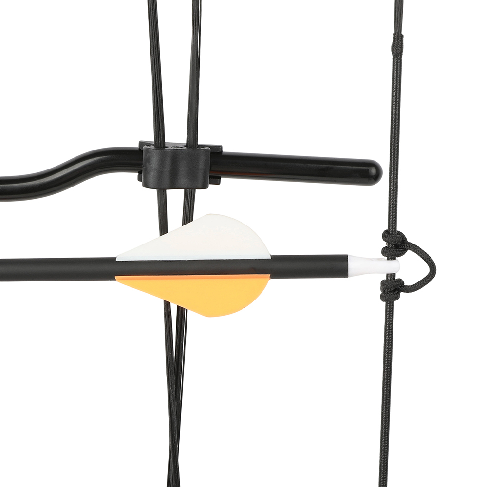 38-7 lbs Compound Bow Arrow Set IBO 150-202FPS Archery