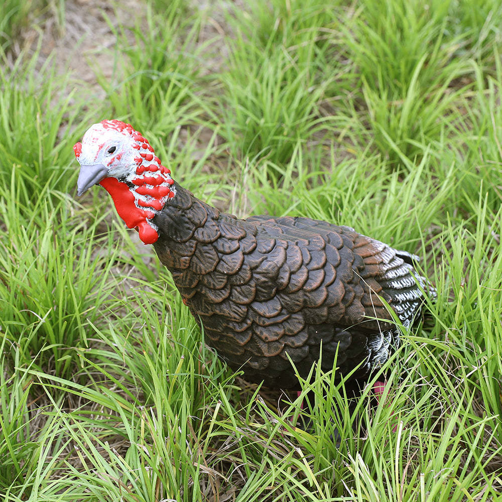 🎯3D Target Archery Practice Turkey Target Archery-AMEYXGS Archery