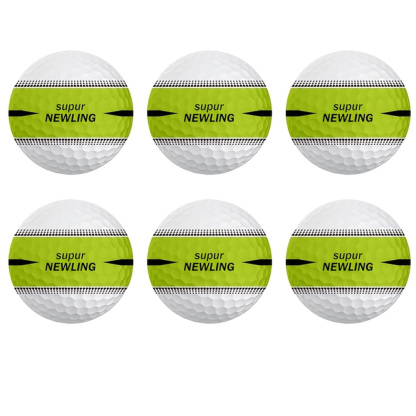 6pcs Funny Golf Ball Gift Set - Humorous Novelty Golf Accessories for Men, Dads