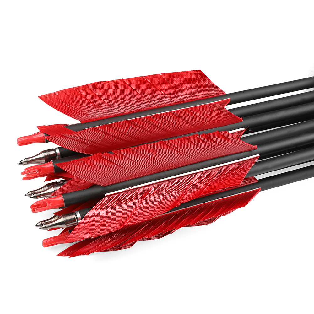 Carbon Arrows 12pcs 30 in 500 Spine 4-Fletch Hunting Set