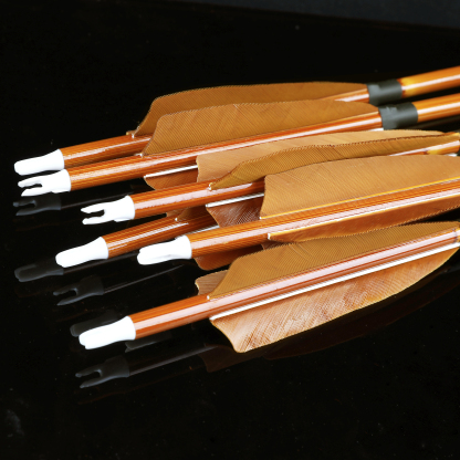 AMEYXGS Archery Bamboo Carbon Arrow for Traditional Longbow Target