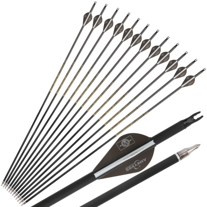 12x 30inch Carbon Arrows Spine 500 Rubber Vanes Shooting Target